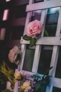 Tower Power: Vertical Garden Image
